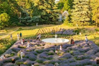 В Одеському ботсаду запустили історичний фонтан після 70-річної перерви