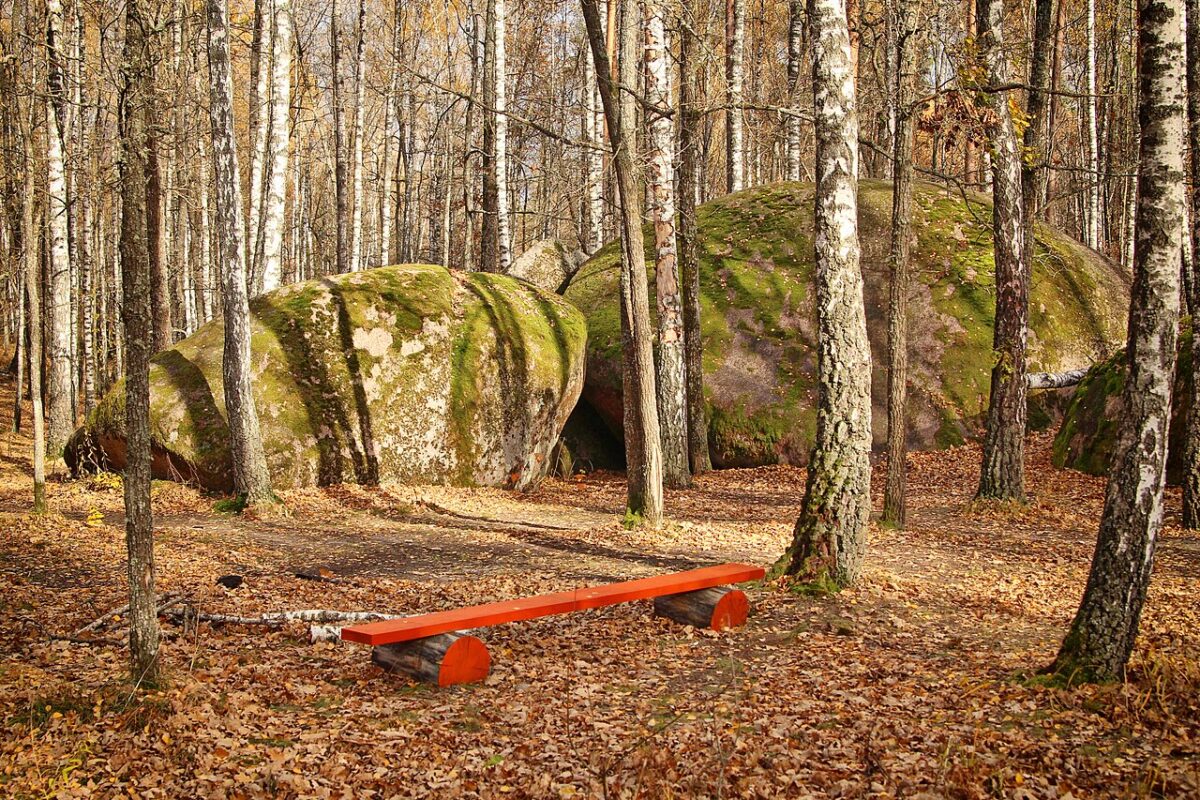 урочище Камінне Село 