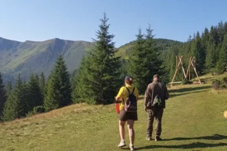 Панорамна гойдалка на гірському схилі з видом на Чорногірський хребет Карпат"